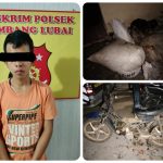 F3FCF178-AF07-4CDC-91D7-55A31A4F2B43