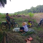 Babinsa Serda Karman Teto Aktifkan Komsos untuk Swasembada Pangan di Desa Air Enau